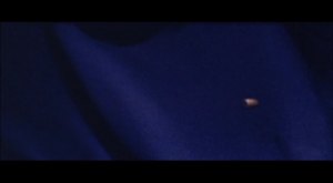 4fliesongreyvelvet_15